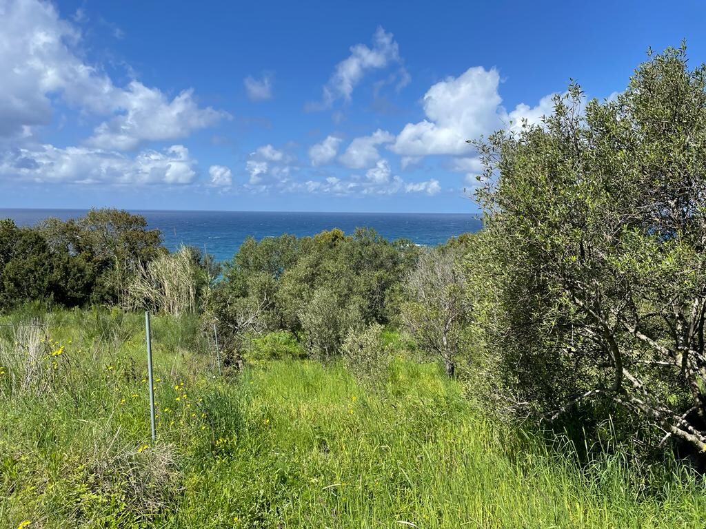 Terrain à Corfou, Grèce, 9 150 m² - image 1