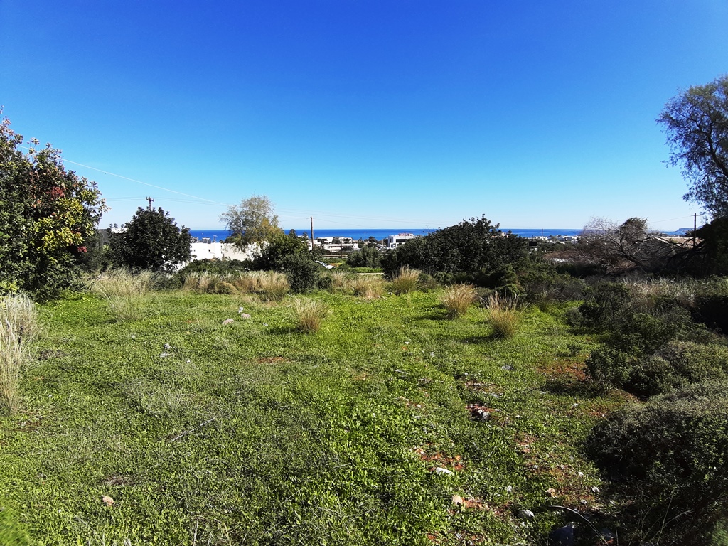 Land in Heraklion, Greece, 14 000 m² - picture 1