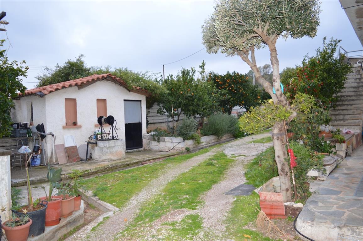 Maison en Attique, Grèce, 120 m² - image 1