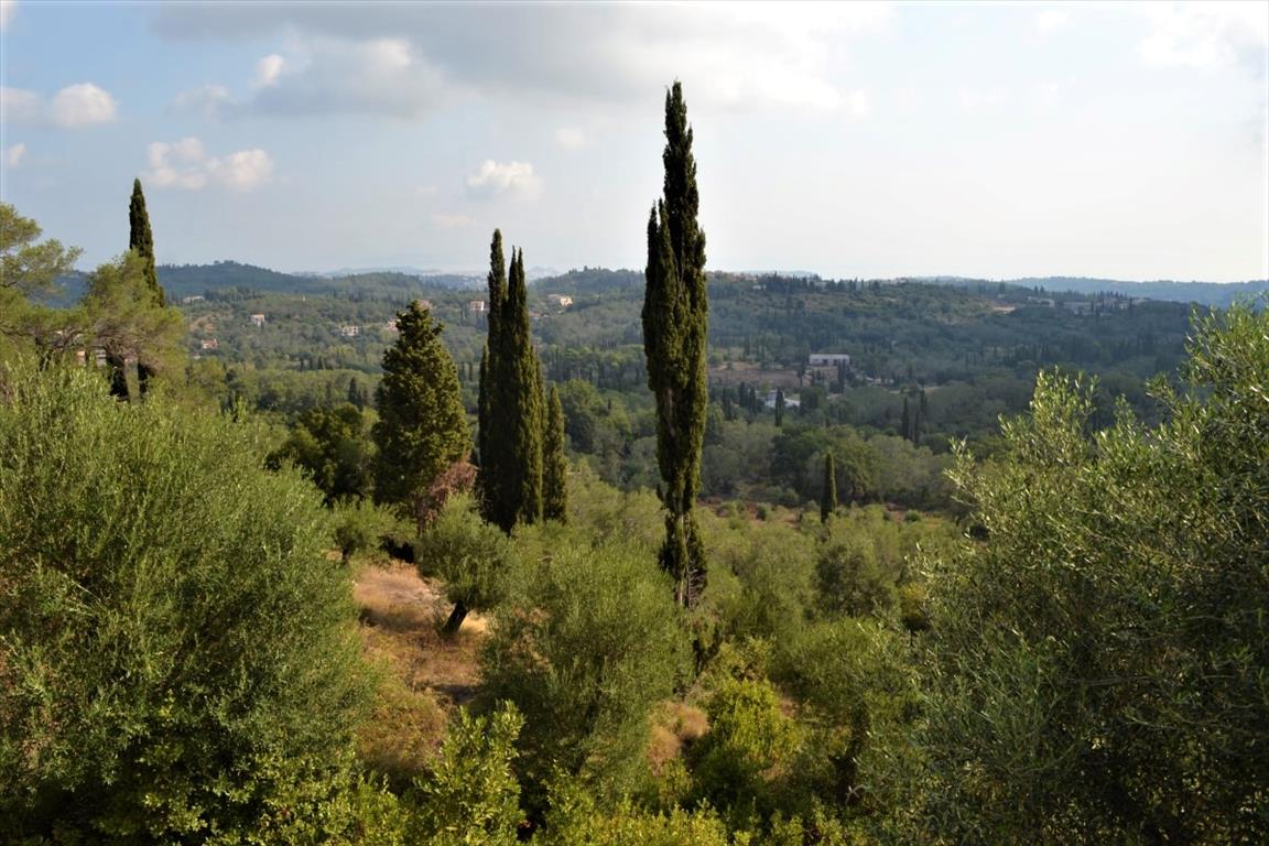 Land in Corfu, Greece, 3 660 m² - picture 1