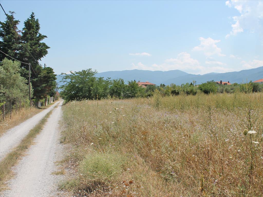 Grundstück in Olympiaki Akti, Griechenland, 5 000 m² - Foto 1