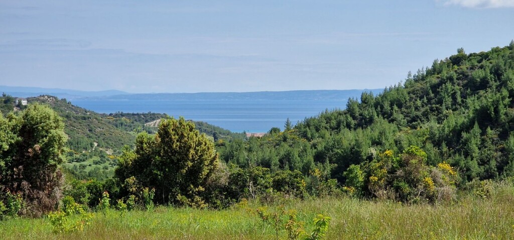 Terrain à Kassandra, Grèce, 10 000 m² - image 1