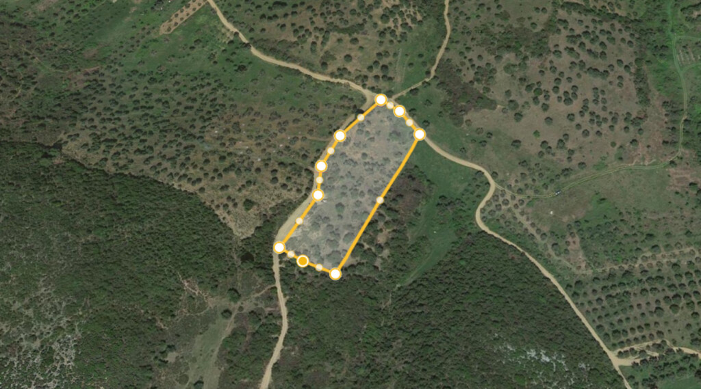 Terrain en Sithonie, Grèce, 7 500 m² - image 1