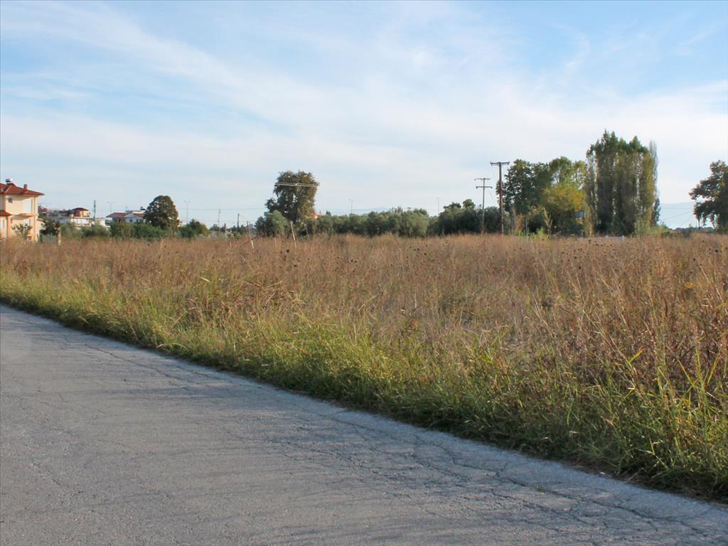 Land in Olympiaki Akti, Greece, 2 556 m² - picture 1