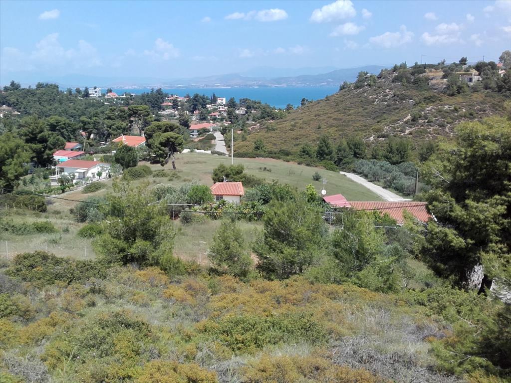 Haus in Attika, Griechenland, 162 m² - Foto 1