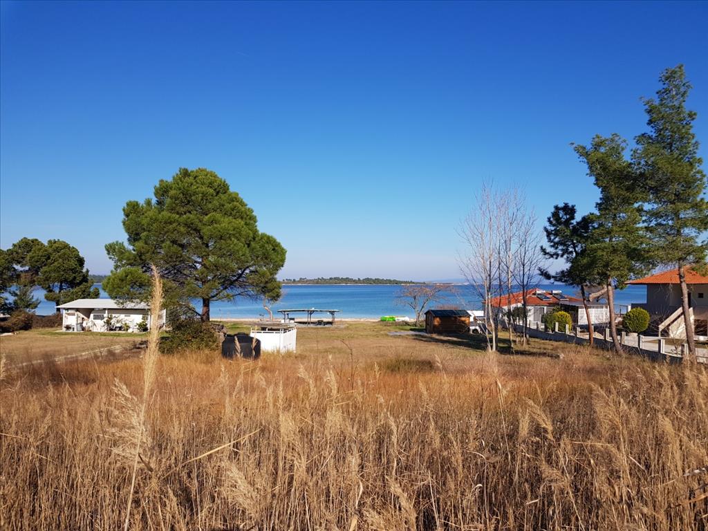 Land in Sithonia, Greece, 6 300 m² - picture 1