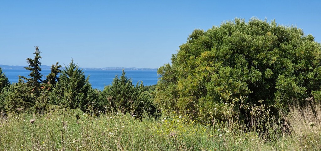 Land in Sithonia, Greece, 4 000 m² - picture 1
