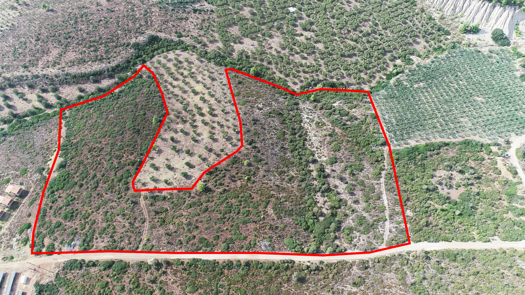 Terrain en Sithonie, Grèce, 37 500 m² - image 1