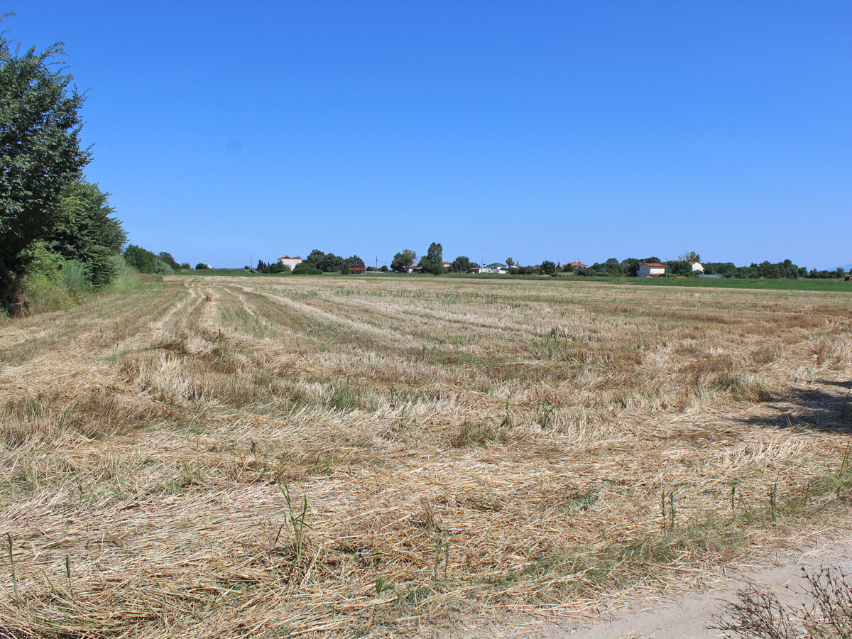 Terreno en Olympiaki Akti, Grecia, 10 000 m² - imagen 1