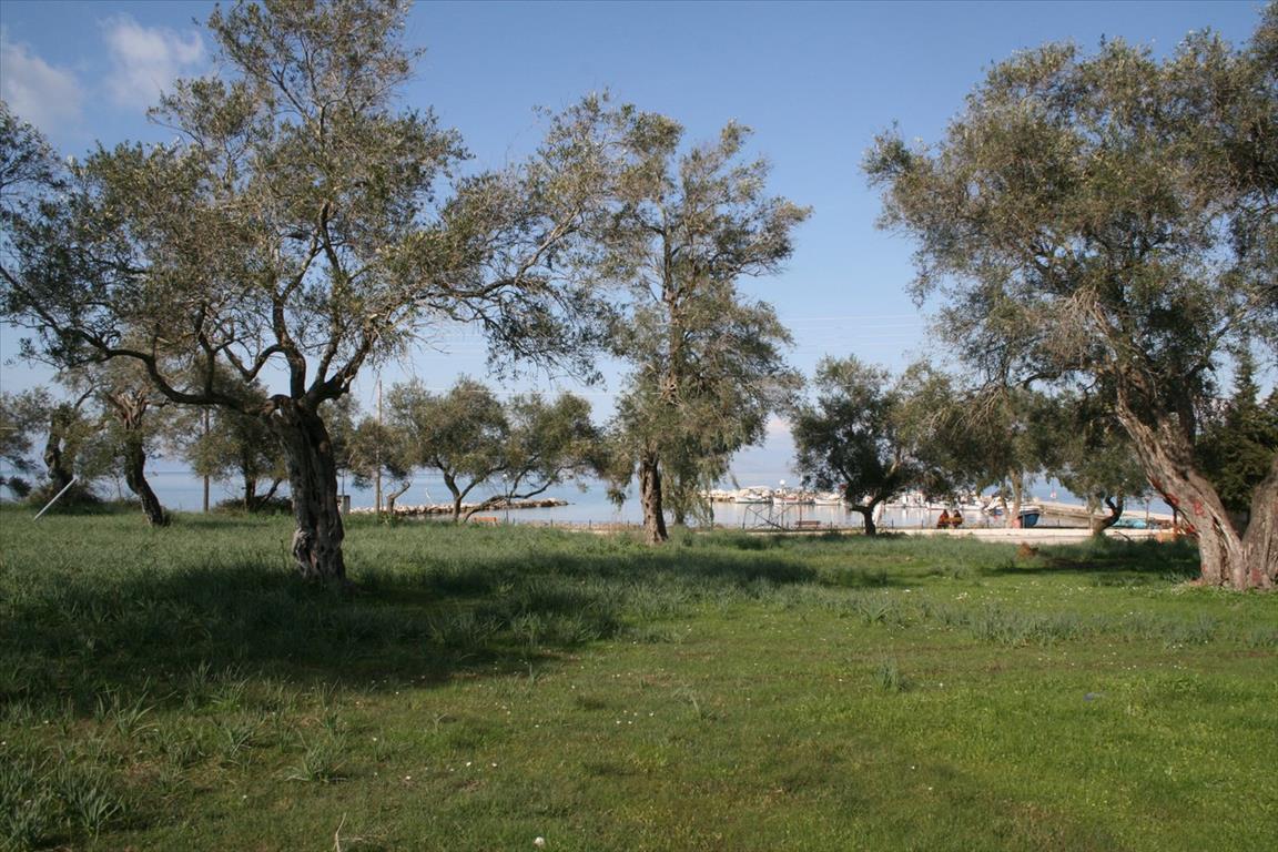 Land in Corfu, Greece, 21 083 m² - picture 1