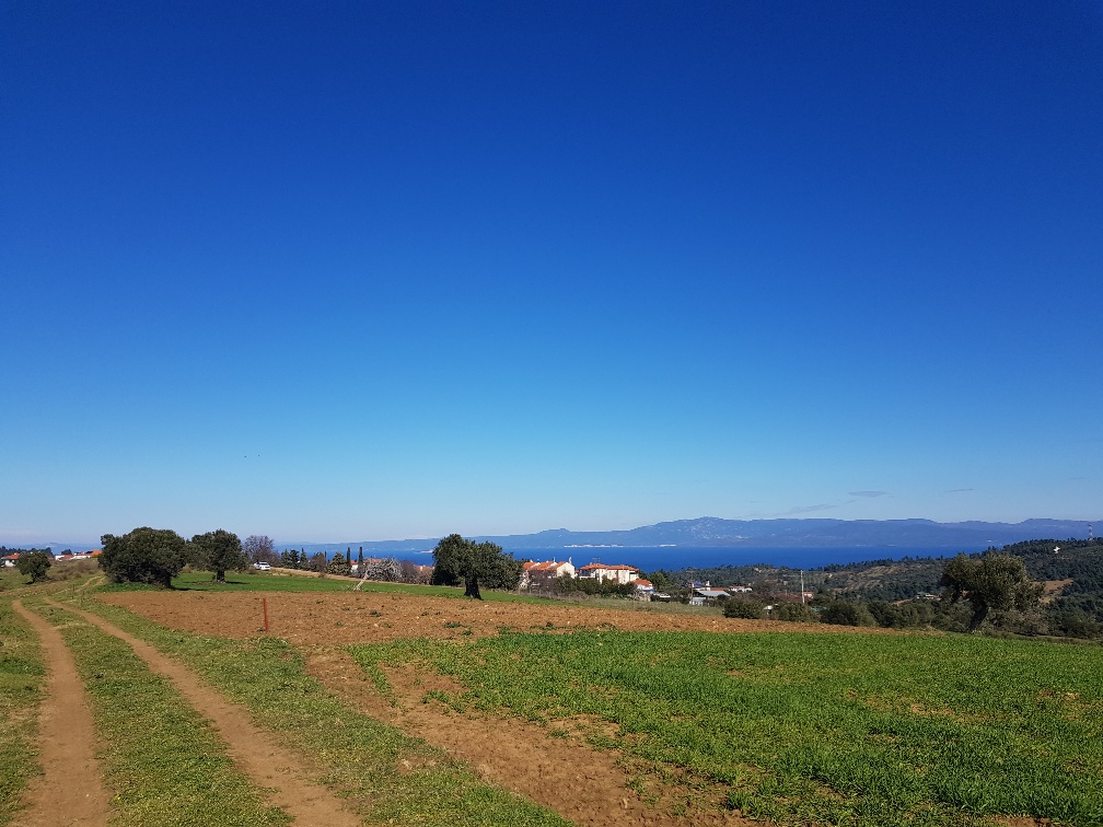 Land in Kassandra, Greece, 9 000 m² - picture 1