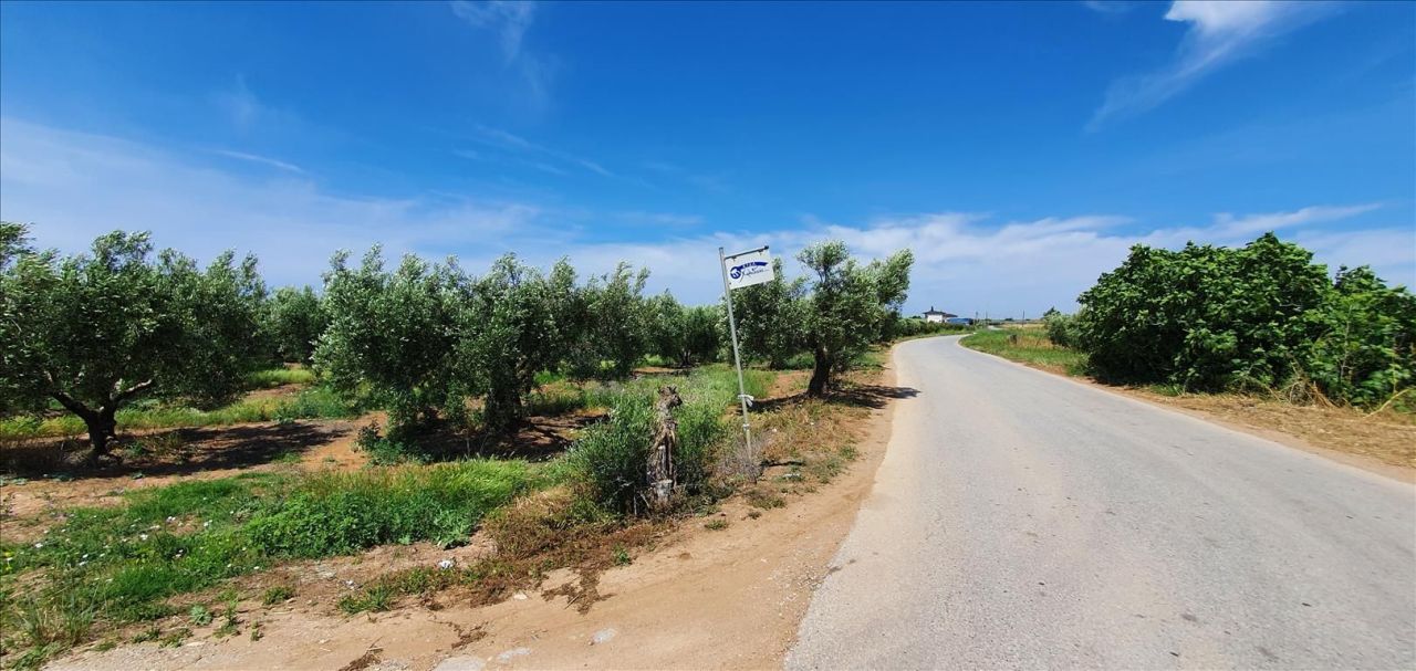 Land in Chalkidiki, Greece, 4 686 m² - picture 1