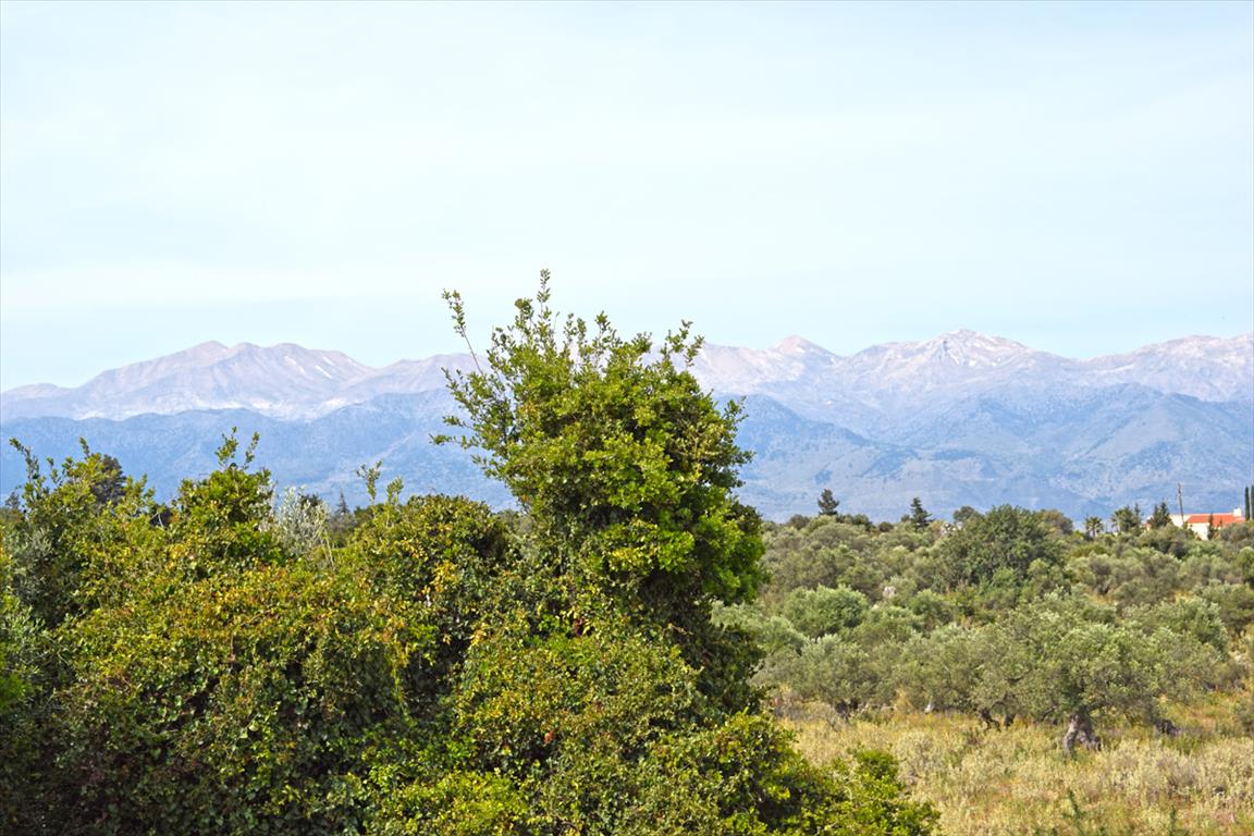 Land in Heraklion, Greece, 20 000 m² - picture 1