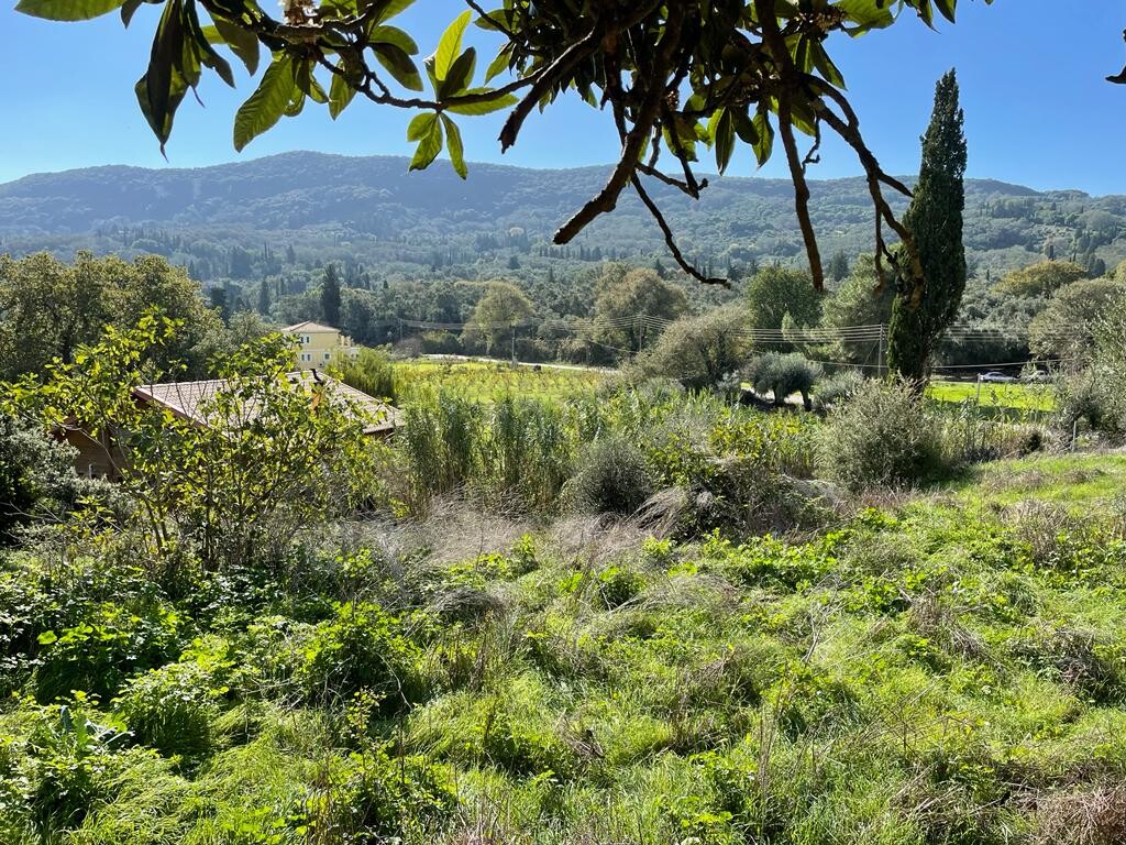 Land in Corfu, Greece, 5 500 m² - picture 1