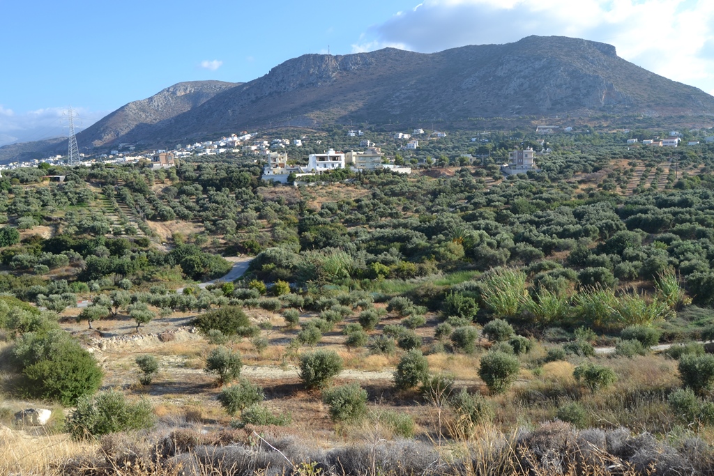 Terrain à Héraklion, Grèce, 25 000 m² - image 1