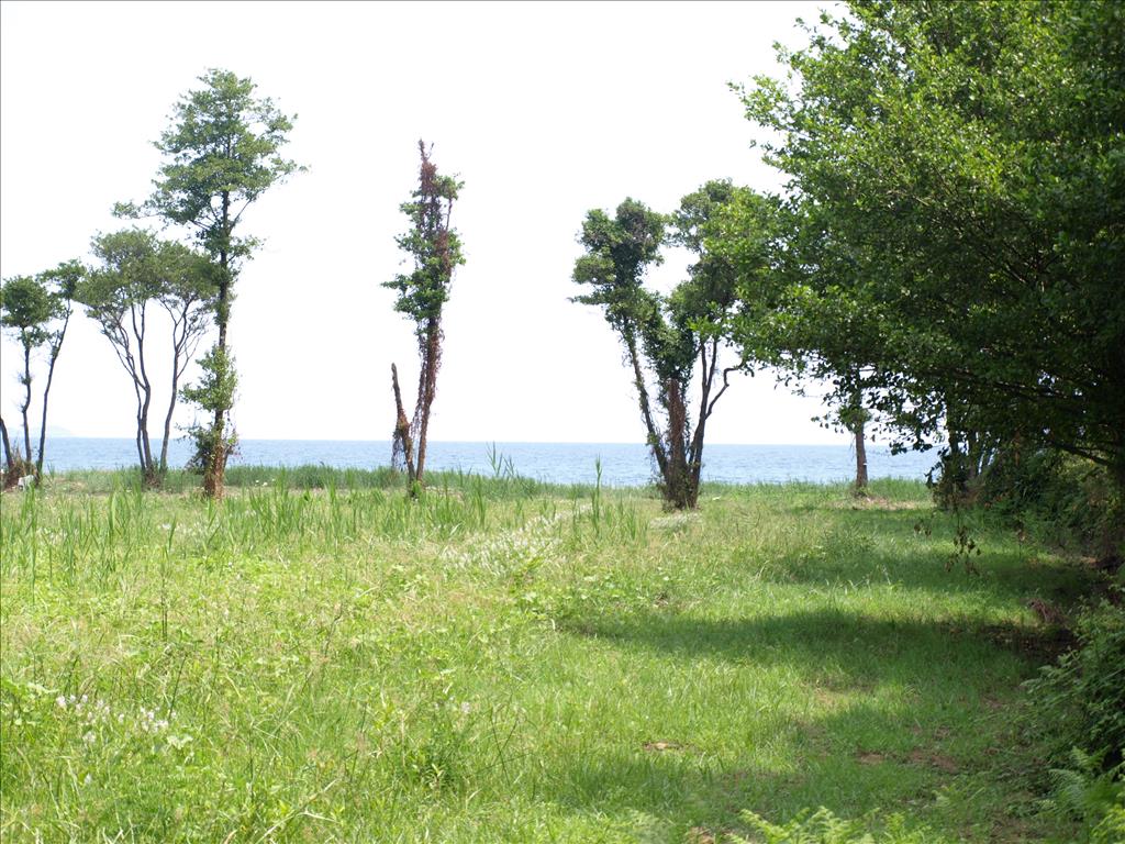 Land in Chalkidiki, Greece, 10 045 m² - picture 1