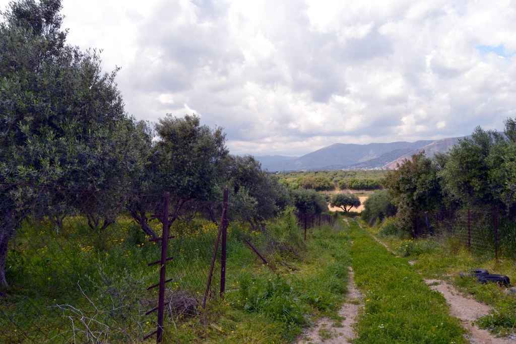 Land in Heraklion, Greece, 4 500 m² - picture 1