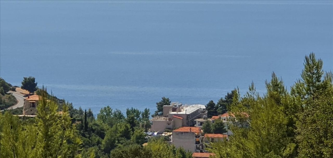 Land in Kassandra, Greece, 5 700 m² - picture 1