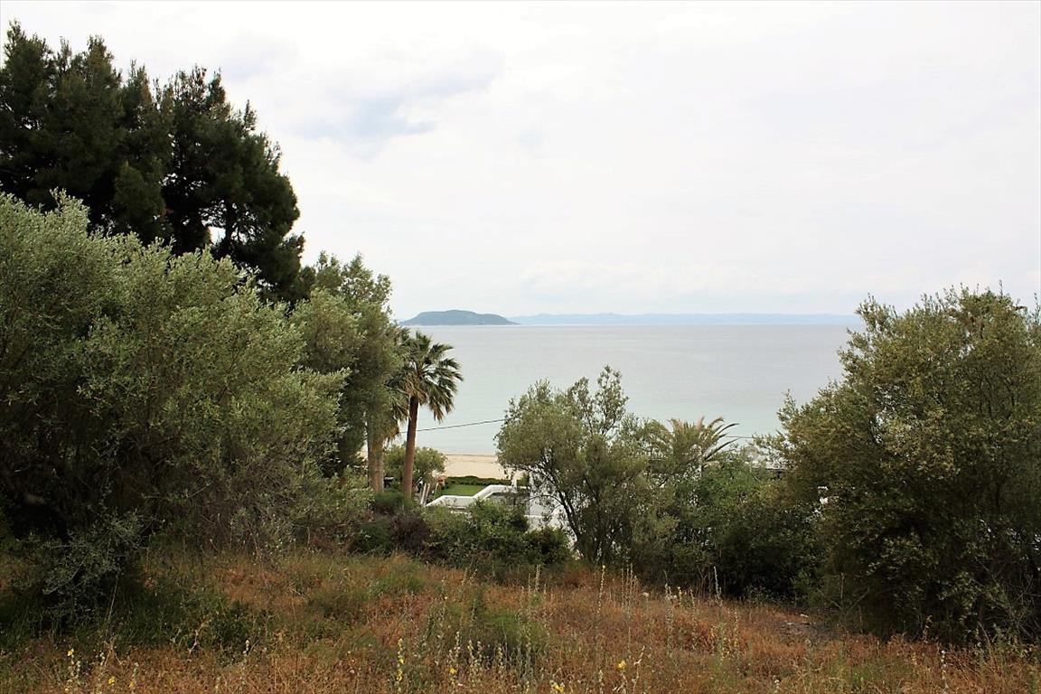 Terreno en Sitonia, Grecia, 6 000 m² - imagen 1