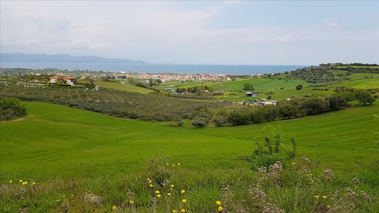 Terreno en Calcídica, Grecia, 18 000 m² - imagen 1