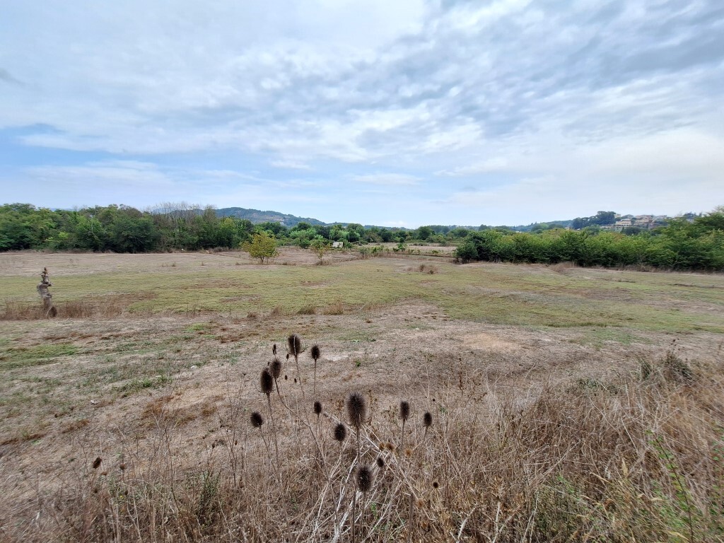 Land in Corfu, Greece, 8 000 m² - picture 1