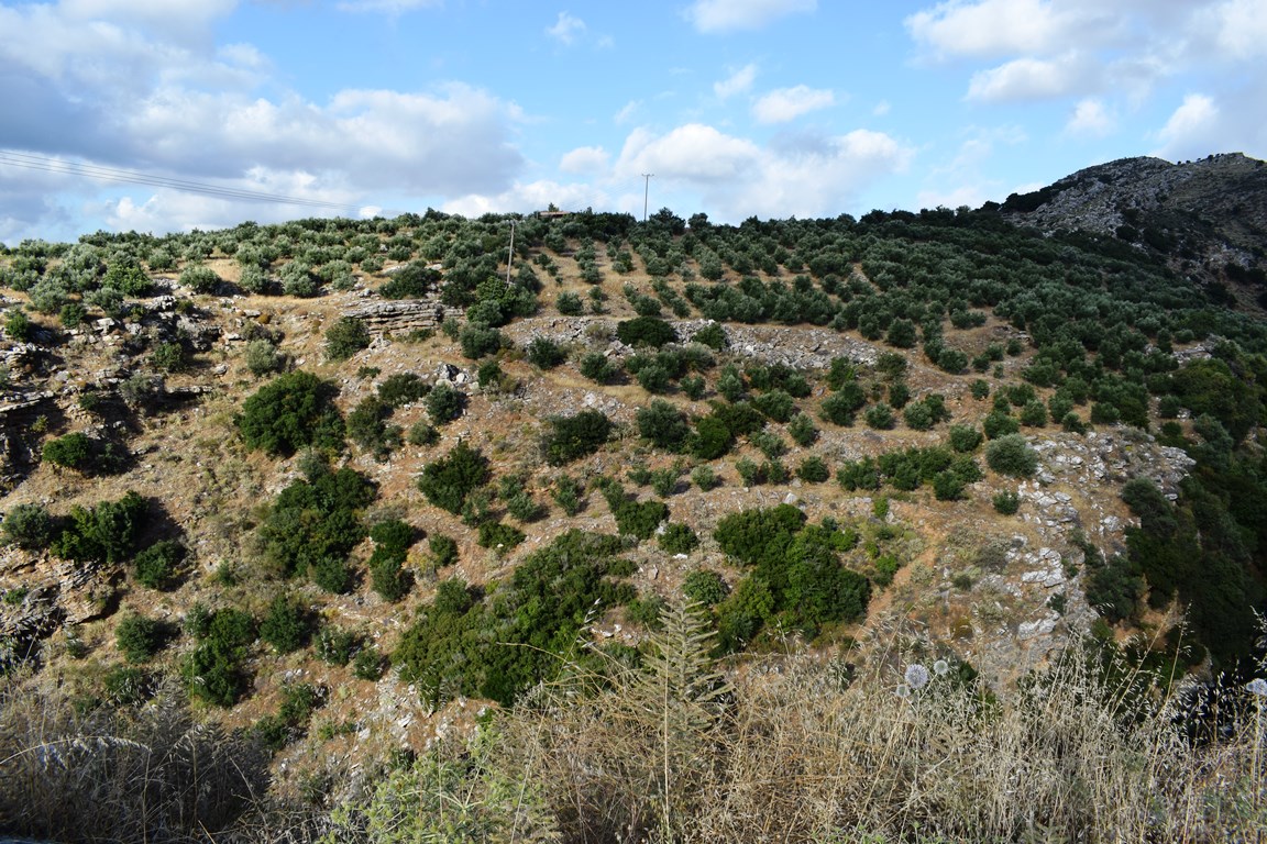 Terrain à Héraklion, Grèce, 43 000 m² - image 1