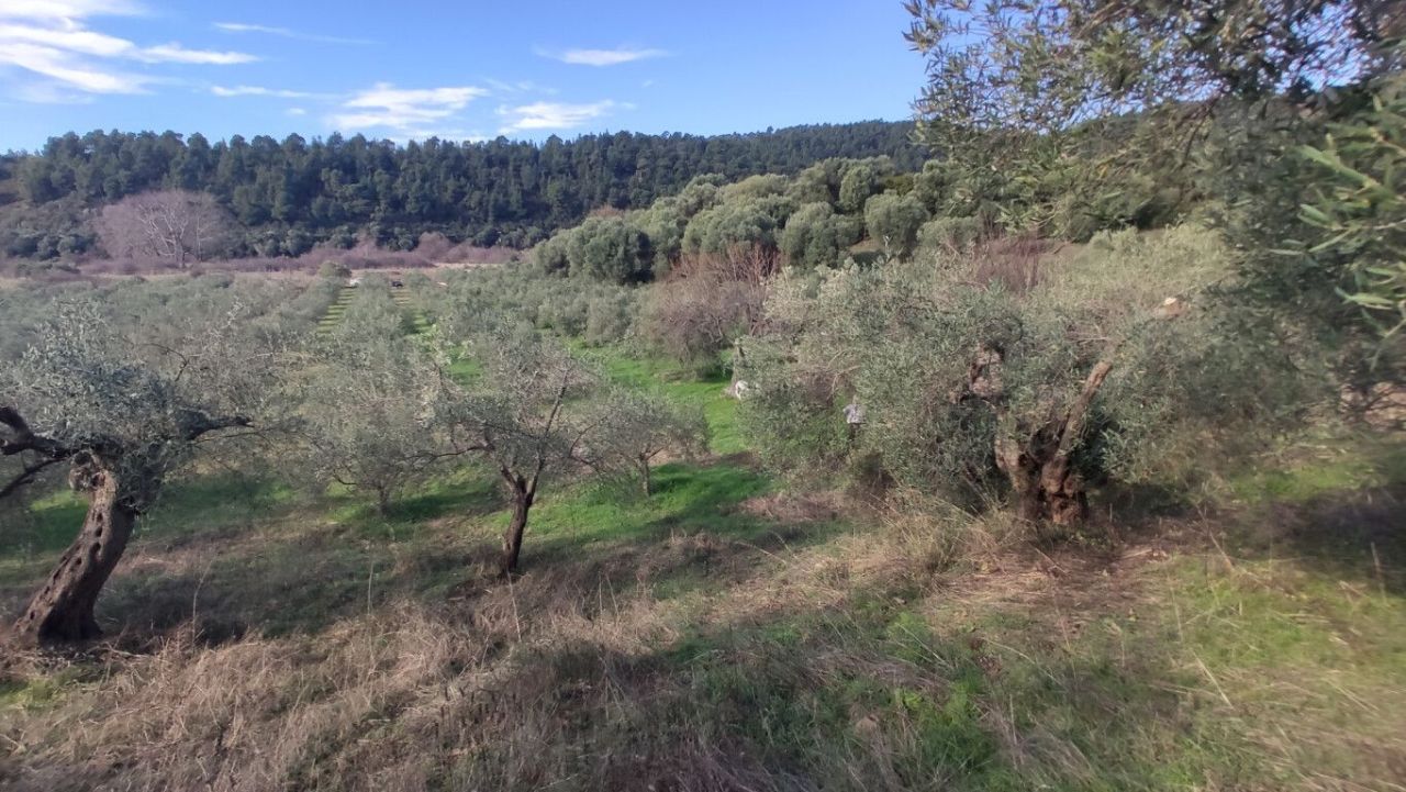 Grundstück in Sithonia, Griechenland, 14 000 m² - Foto 1