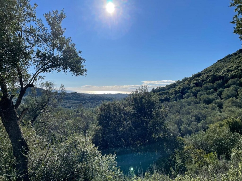 Terreno en Corfú, Grecia, 25 000 m² - imagen 1