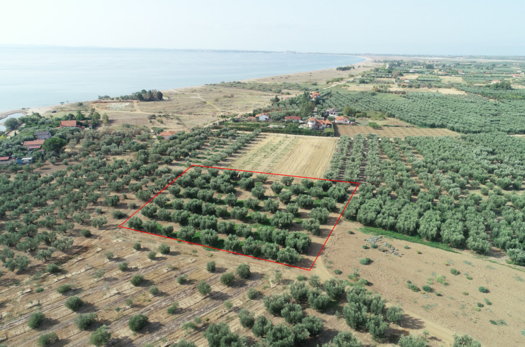 Land in Chalkidiki, Greece, 4 010 m² - picture 1