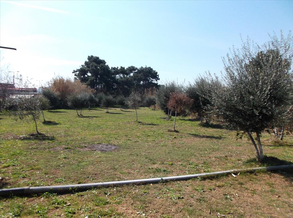 Land in Athens, Greece, 2 768 m² - picture 1