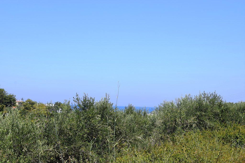 Land in Heraklion, Greece, 5 500 m² - picture 1