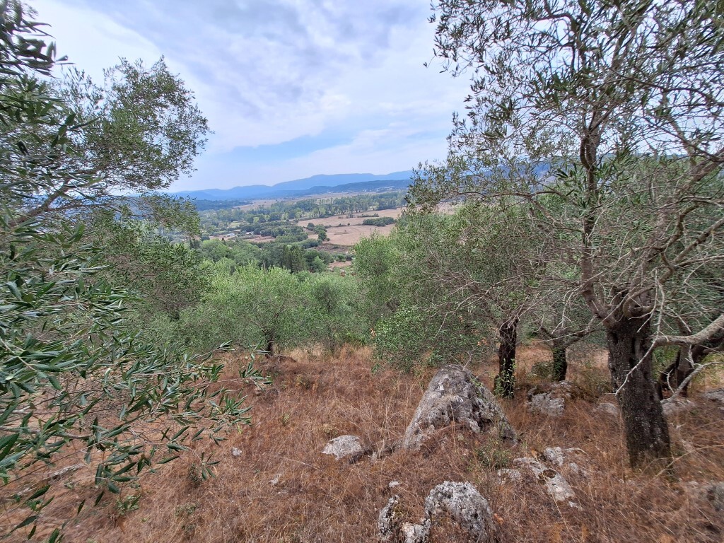 Land in Corfu, Greece, 13 000 m² - picture 1
