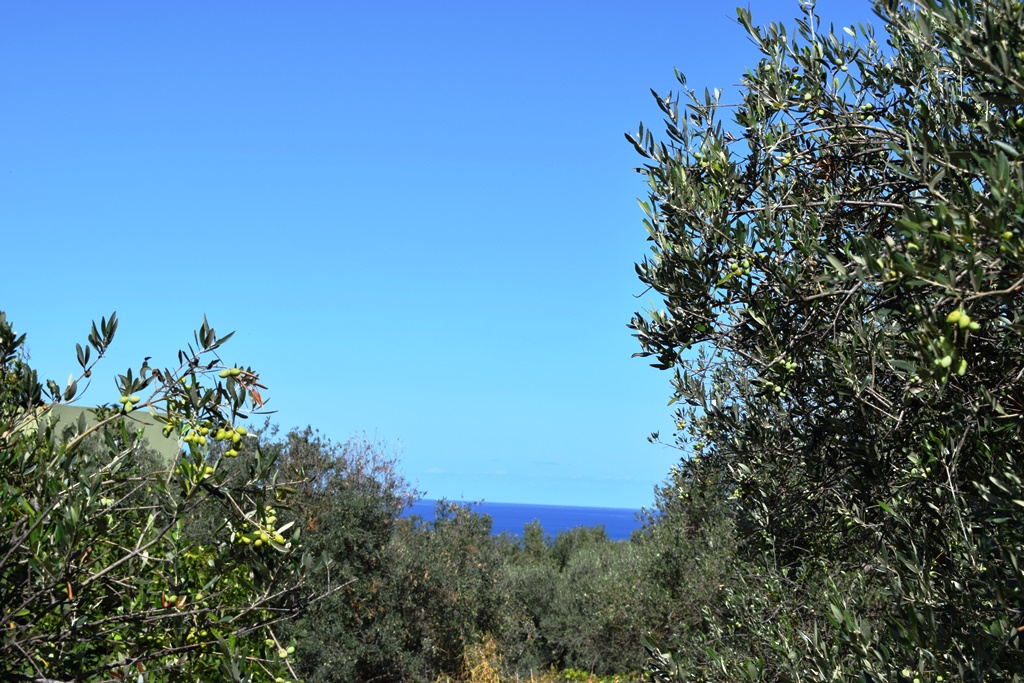 Grundstück in Heraklion, Griechenland, 2 010 m² - Foto 1