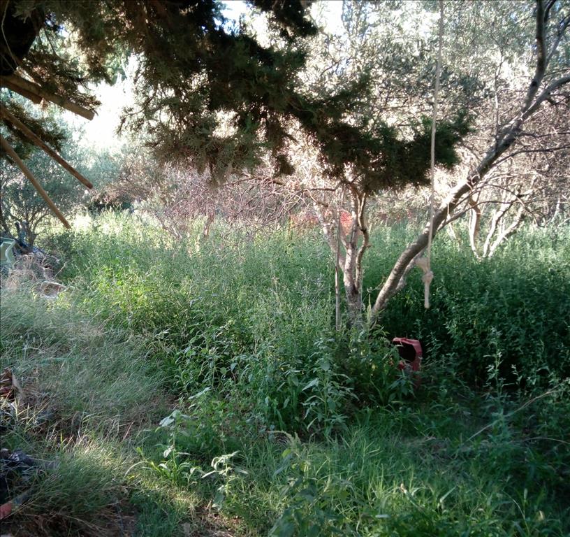 Grundstück in Athen, Griechenland, 500 m² - Foto 1