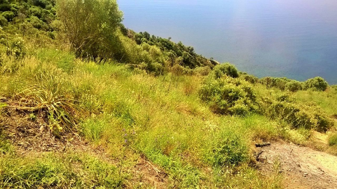 Terreno en Calcídica, Grecia, 17 720 m² - imagen 1