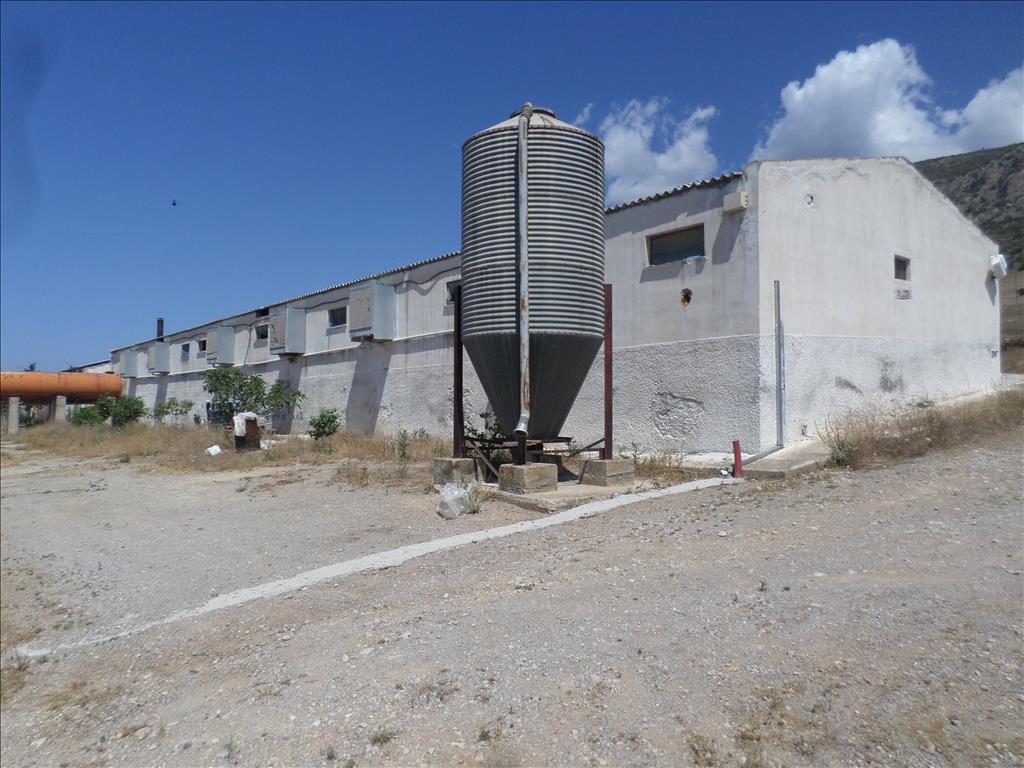 Terrain à Athènes, Grèce, 22 000 m² - image 1