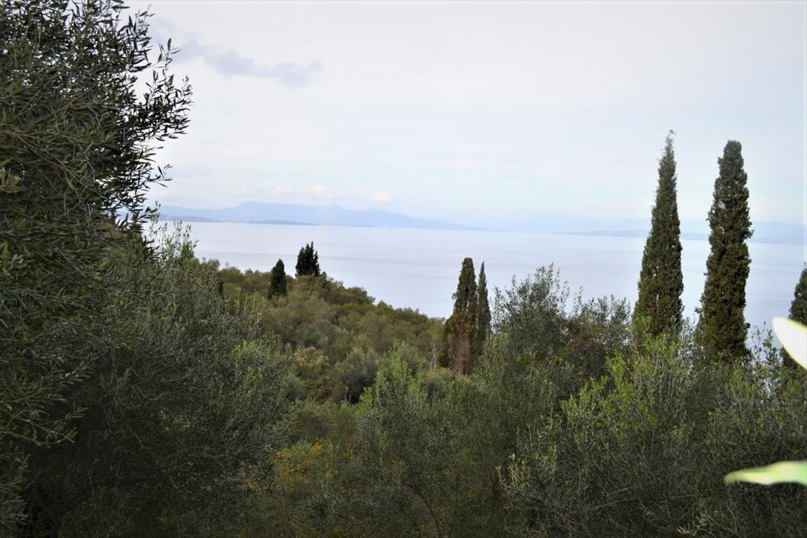 Terreno en Corfú, Grecia, 10 000 m² - imagen 1