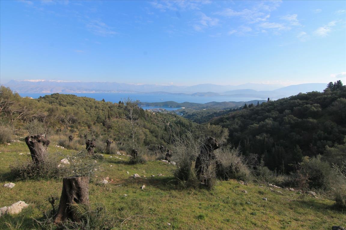 Land in Corfu, Greece, 6 000 m² - picture 1