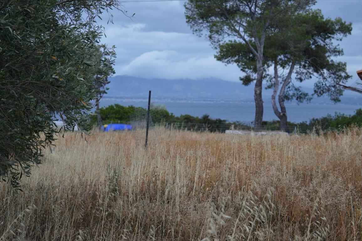 Grundstück in Loutraki, Griechenland, 5 693 m² - Foto 1
