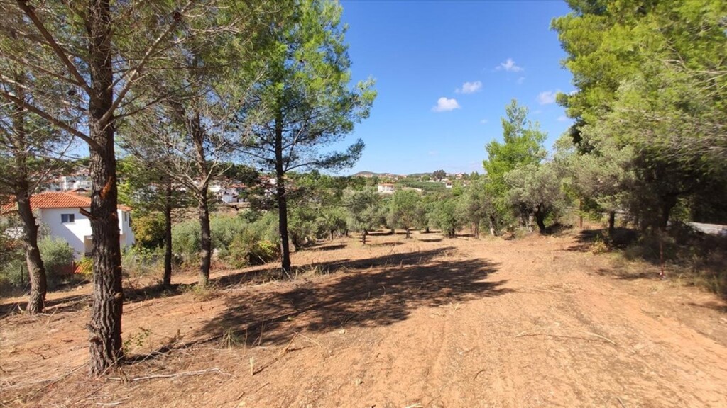 Terrain en Sithonie, Grèce, 3 208 m² - image 1