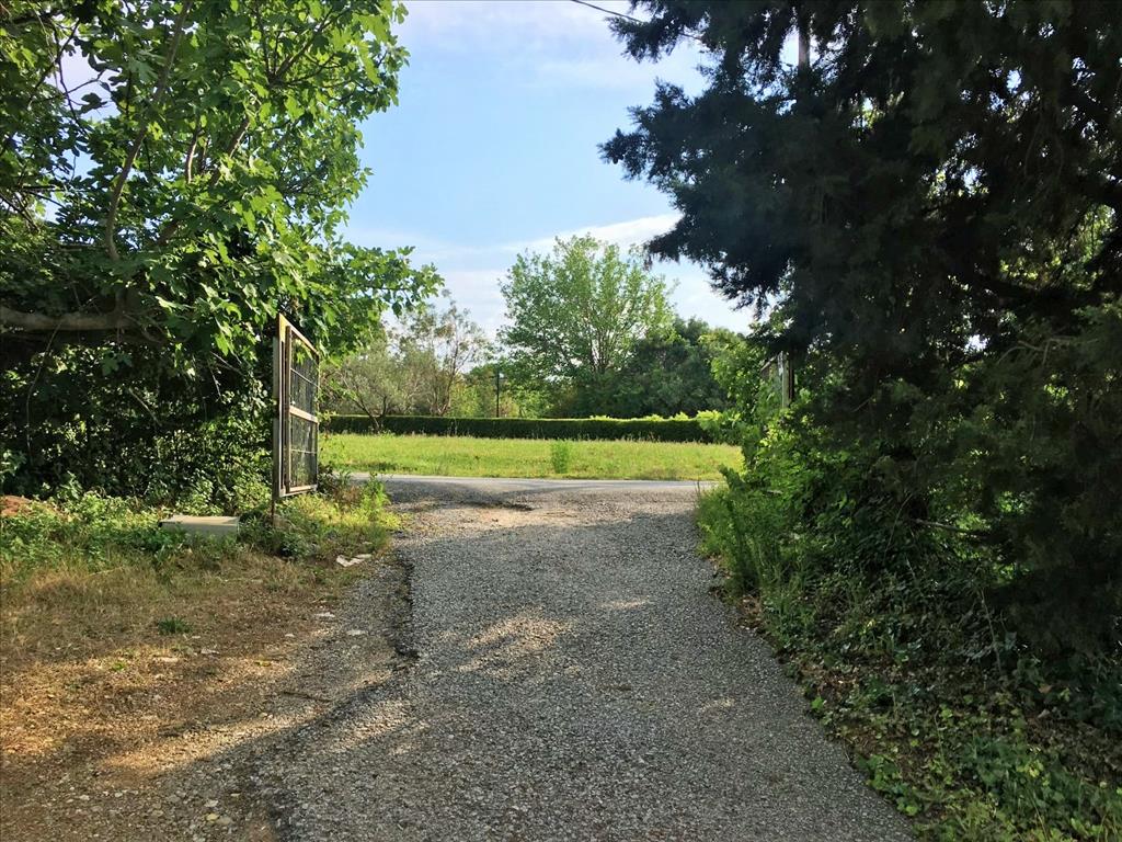Land in Thessaloniki, Greece, 8 125 m² - picture 1