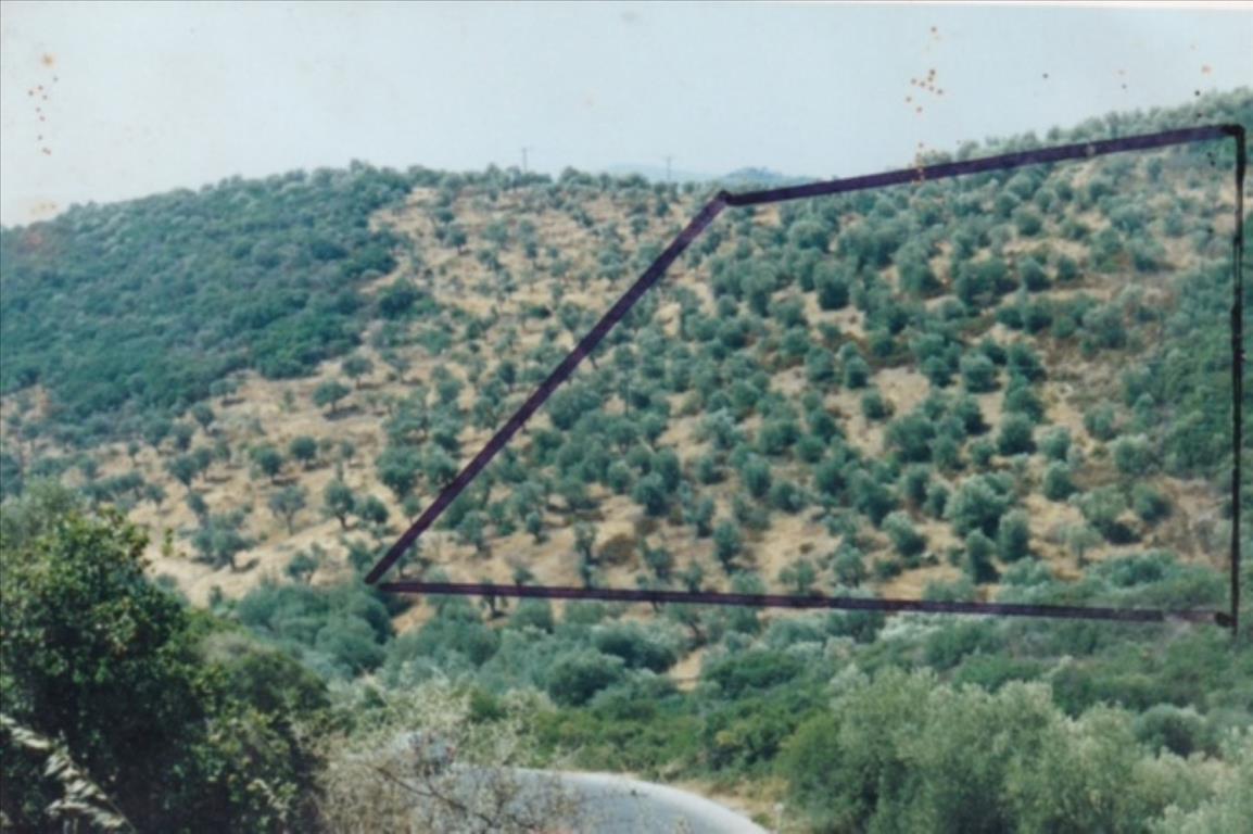 Land in Chalkidiki, Greece, 19 160 m² - picture 1