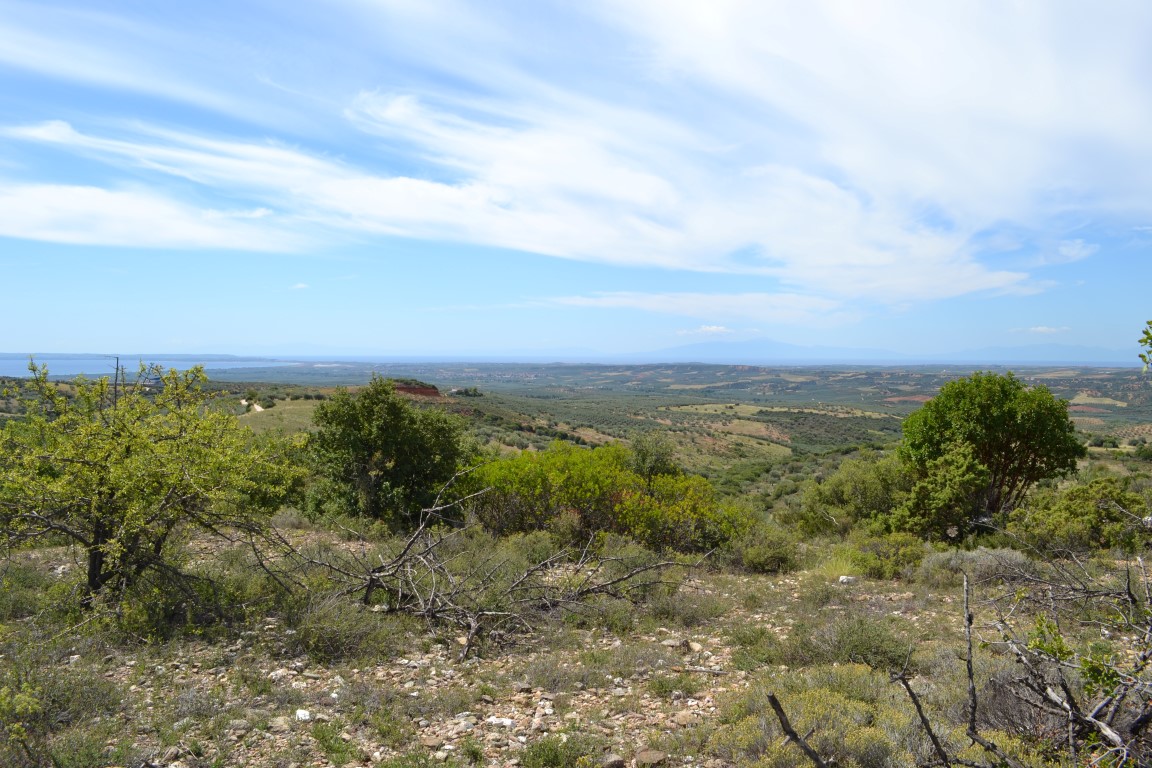 Terrain en Chalcidique, Grèce, 20 000 m² - image 1