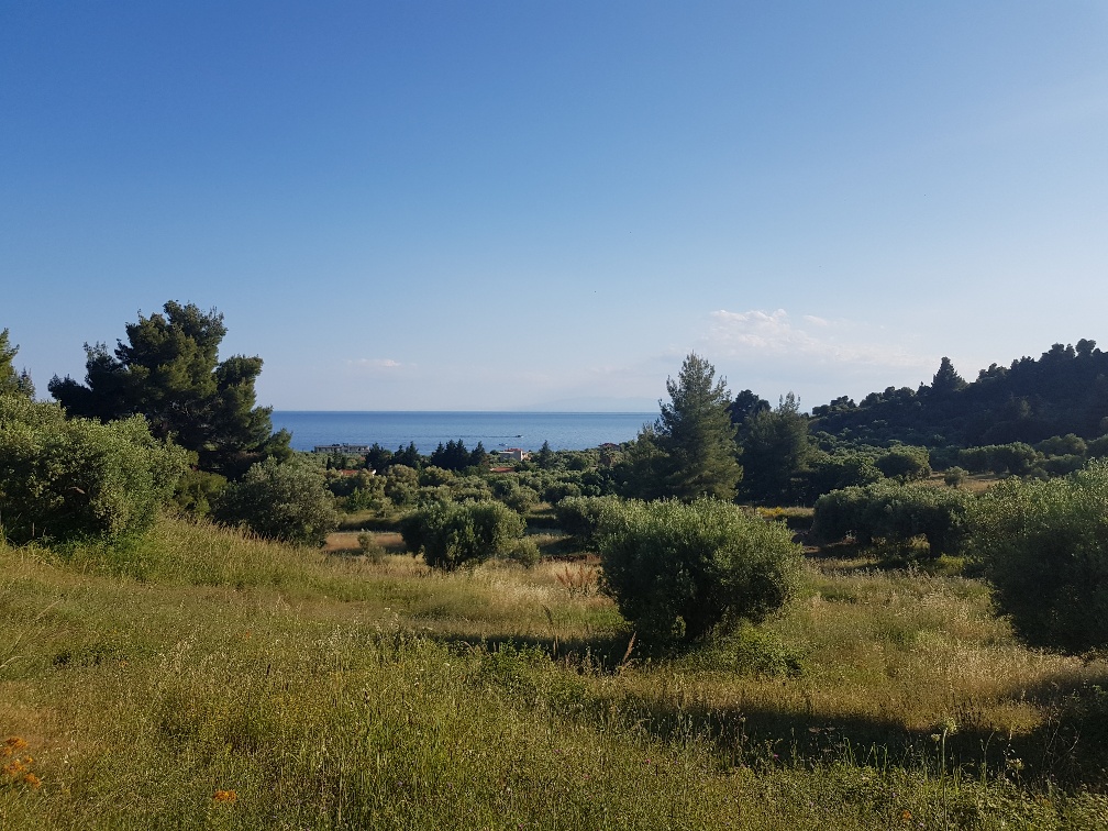 Grundstück in Kassandra, Griechenland, 4 500 m² - Foto 1