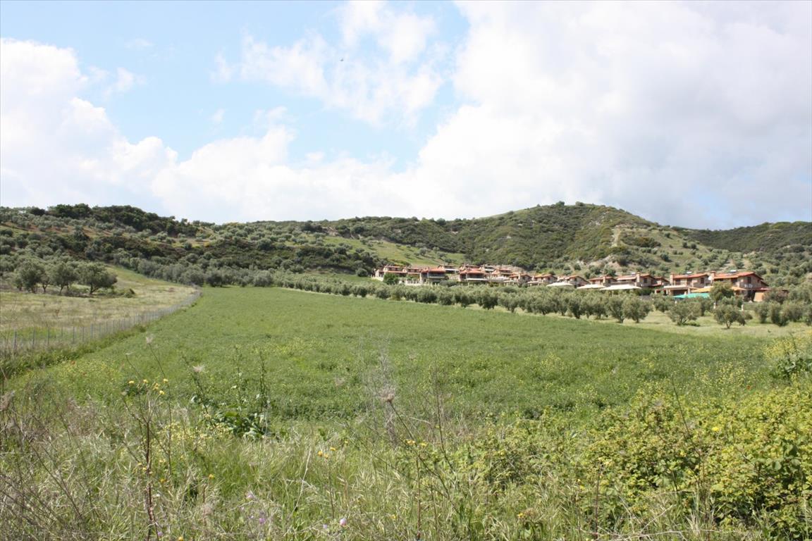 Terrain à Kassandra, Grèce, 23 000 m² - image 1
