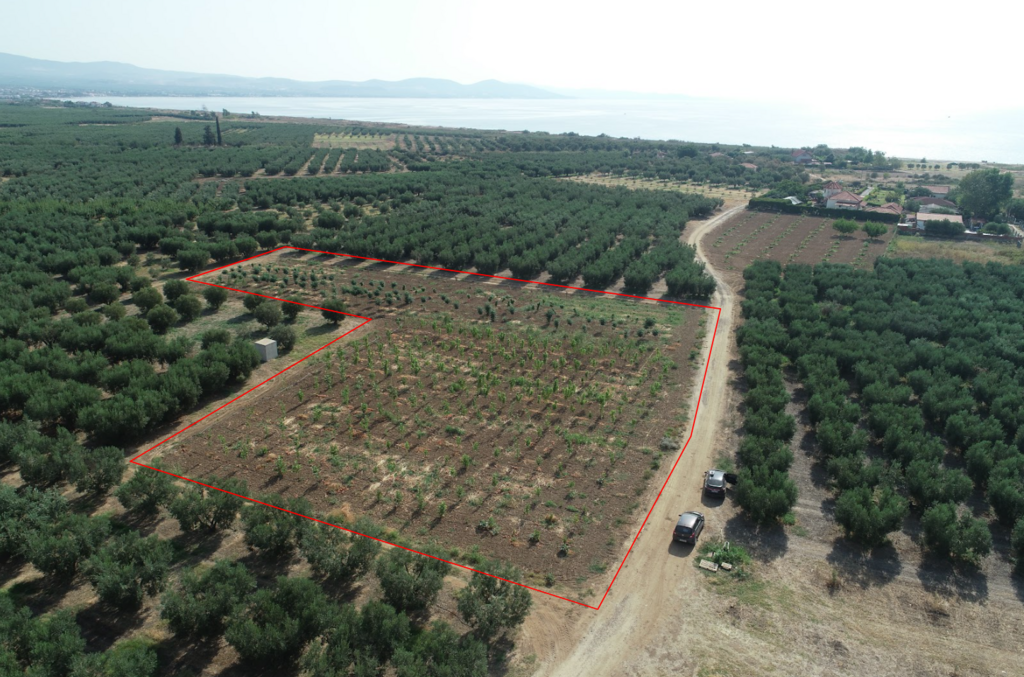 Land in Chalkidiki, Greece, 4 811 m² - picture 1