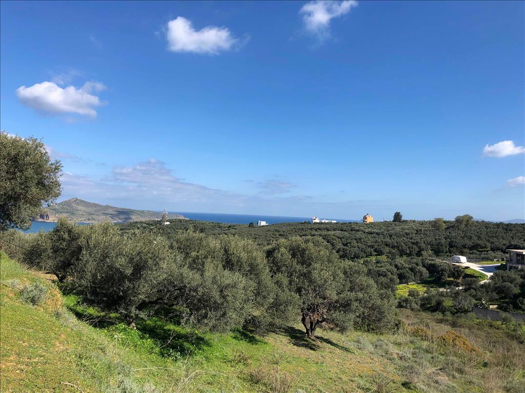 Land in Heraklion, Greece, 4 062 m² - picture 1