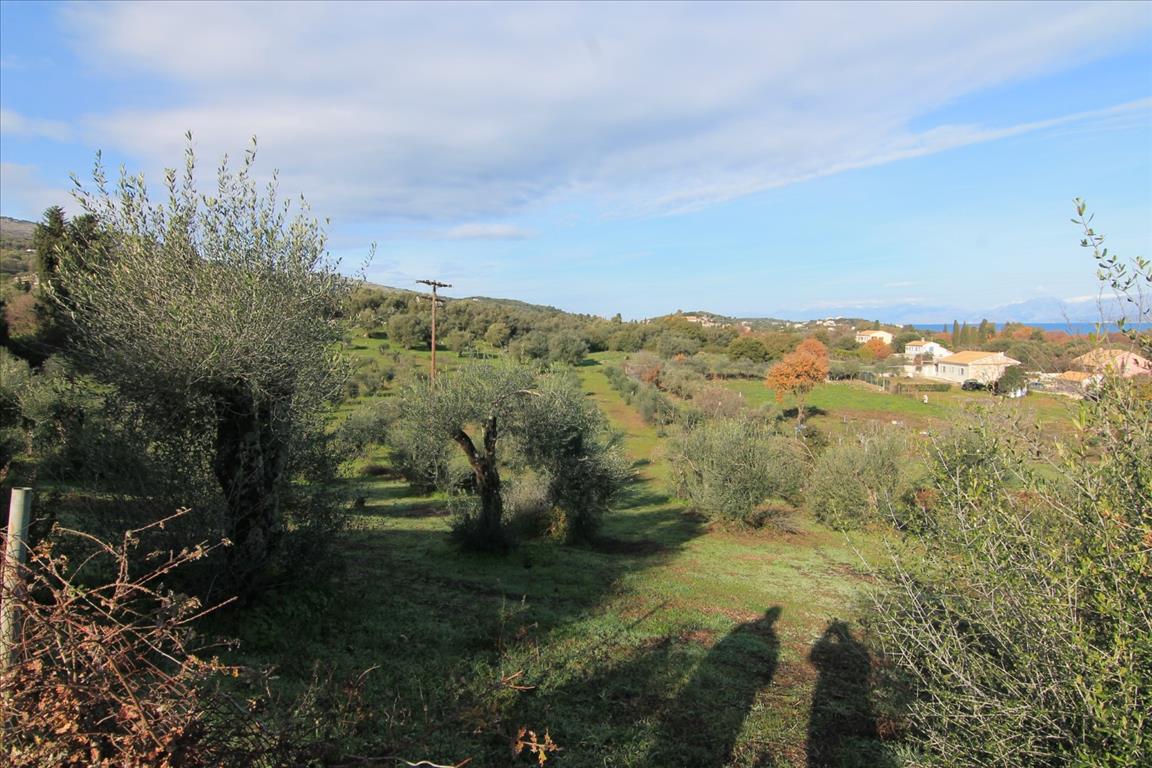 Terreno en Corfú, Grecia, 9 000 m² - imagen 1