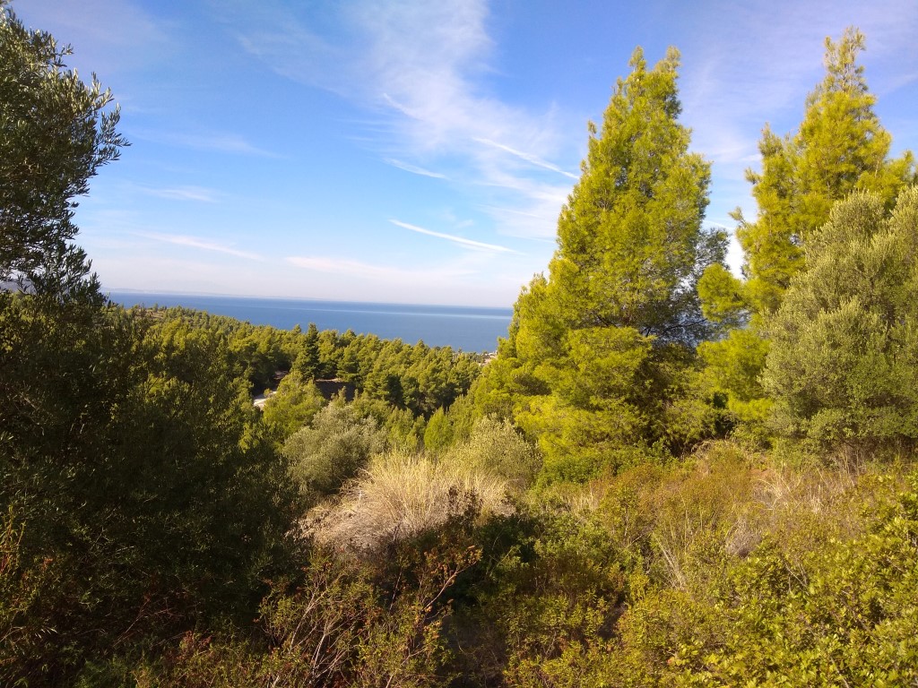 Terrain en Sithonie, Grèce, 7 250 m² - image 1