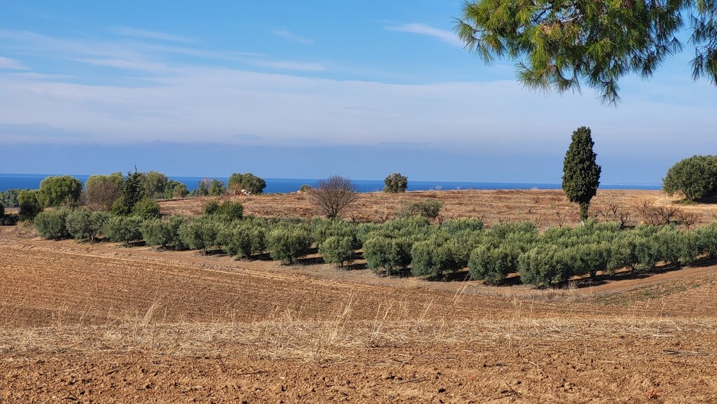 Terrain à Kassandra, Grèce, 13 600 m² - image 1